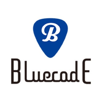 bluecode logo